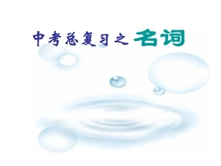 中考英语复习课件名词
