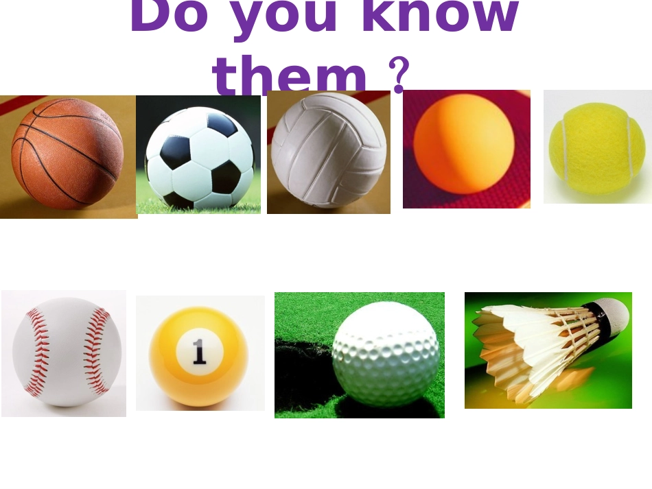 七年级英语上册_Unit_5_Do_you_have_a_soccer_ball？_第2页