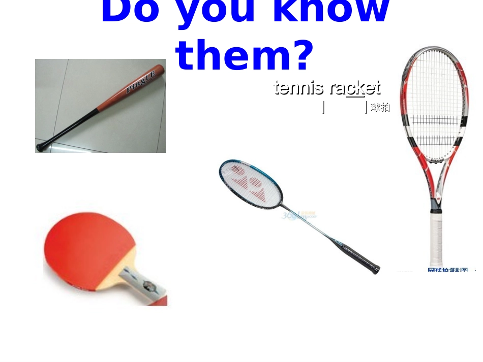 七年级英语上册_Unit_5_Do_you_have_a_soccer_ball？_第3页