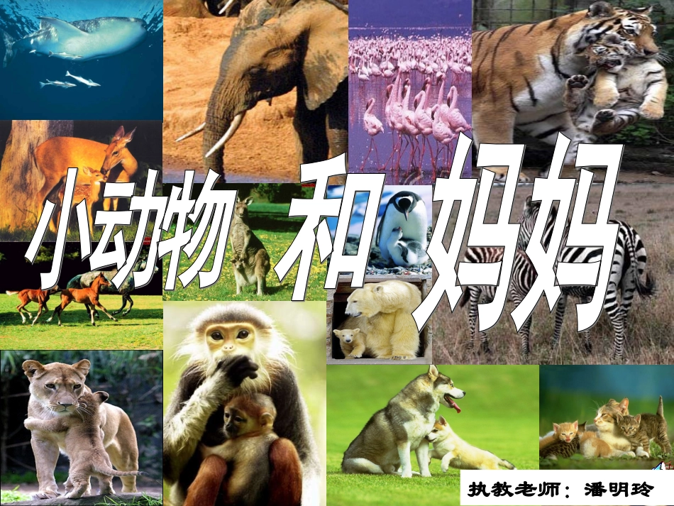 岭南美术出版社义务教育课程标准教科书　一年级二册第二单元第八课《小动物和妈妈》_第1页