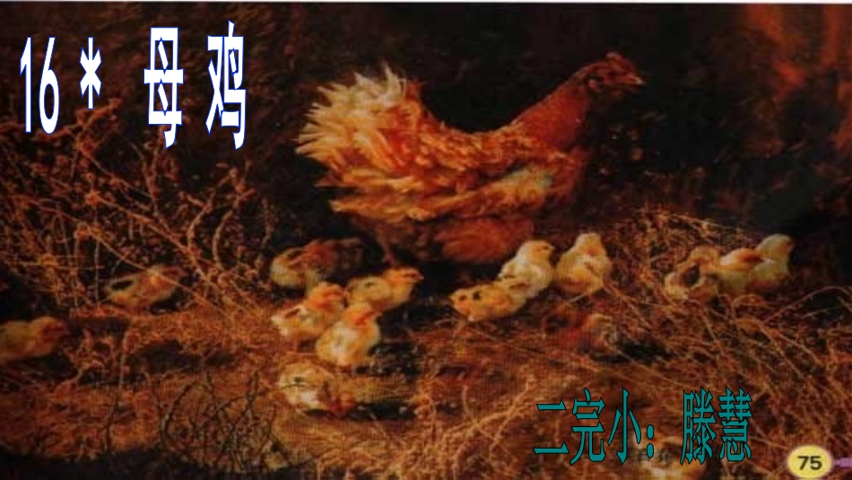 人教新课标四上《母鸡》PPT课件_定_第3页