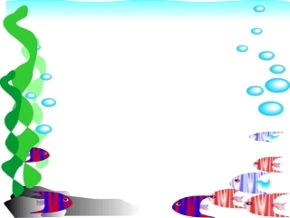 小蝌蚪找妈妈 (8)