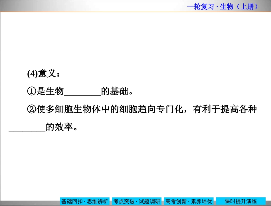 细胞的分化　细胞的衰老和凋亡_第3页