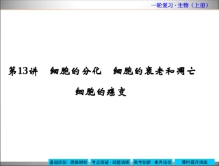 细胞的分化　细胞的衰老和凋亡