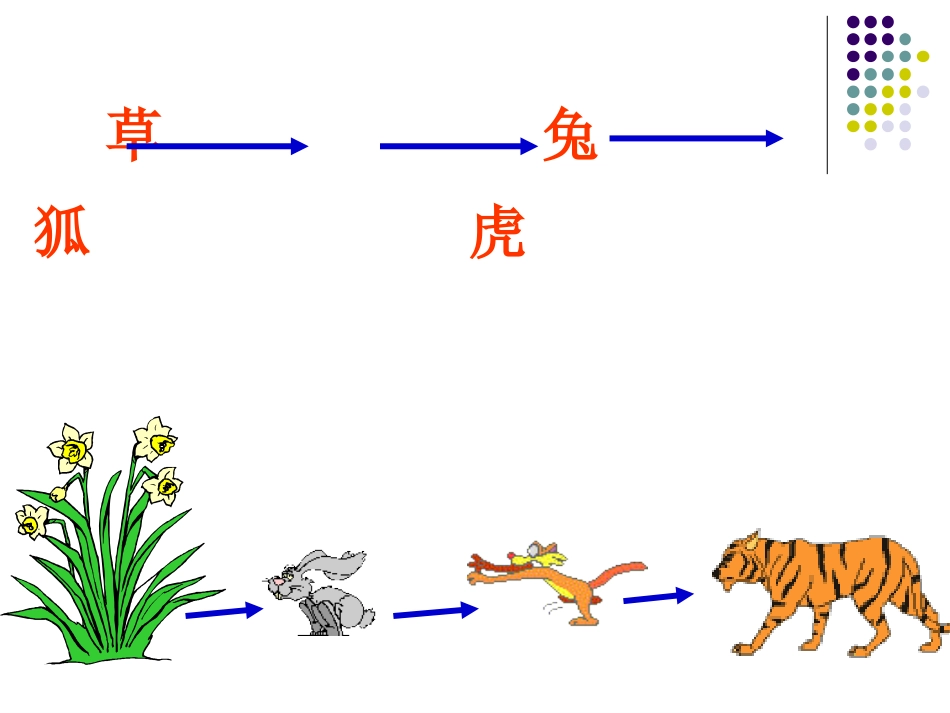 小学五年级科学食物链和食物网_第3页