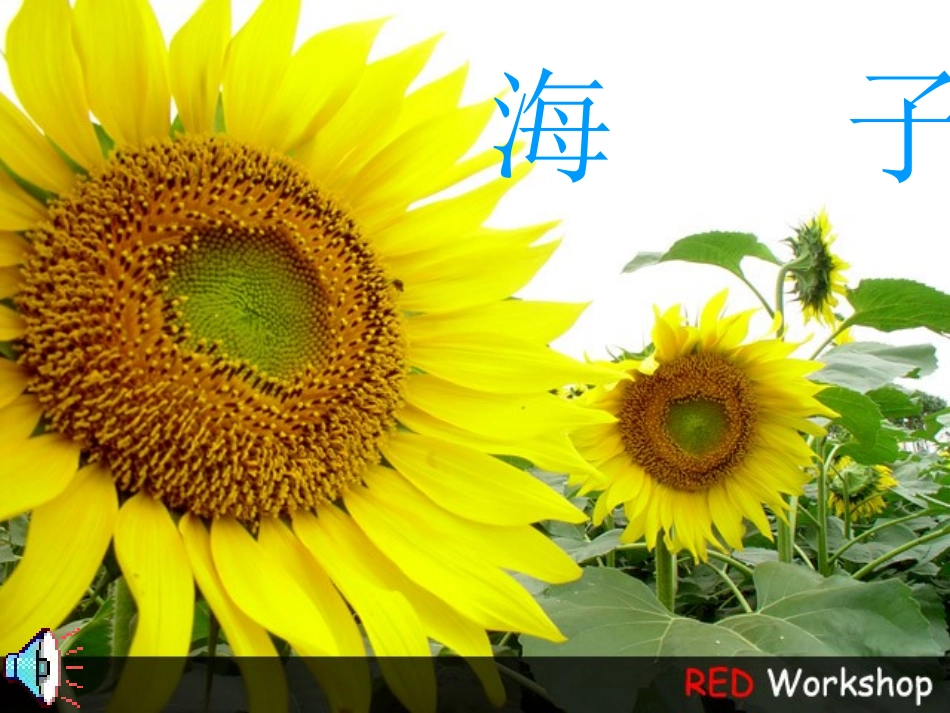 面朝大海，春暖花开_第3页