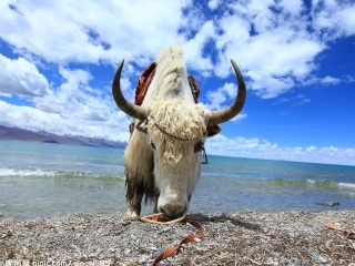 雅鲁藏布大峡谷(上课用)