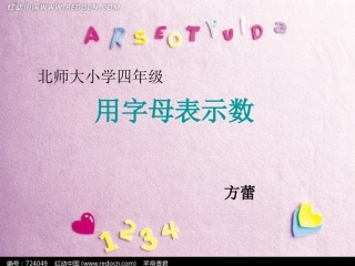 用字母表示数 (11)