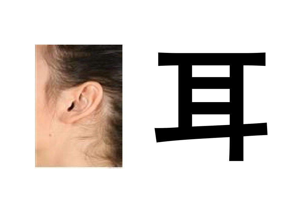 实用语文第一册第二课耳鼻口目课件_第2页