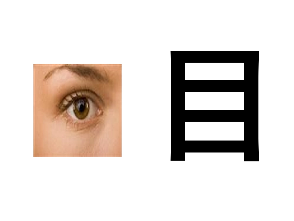 实用语文第一册第二课耳鼻口目课件_第3页