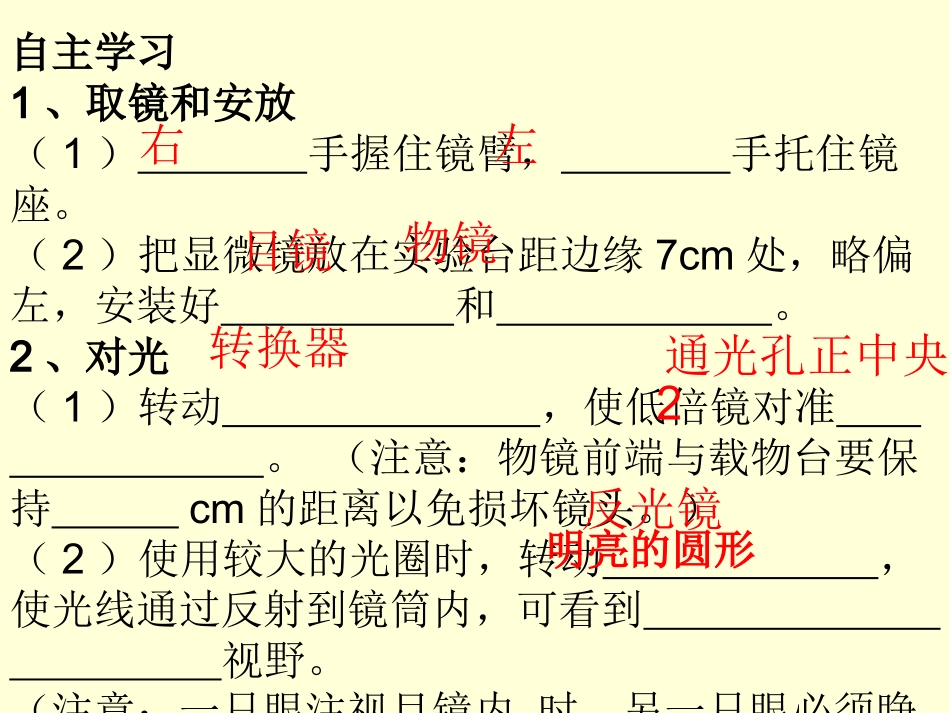 显微镜的使用 (2)_第3页