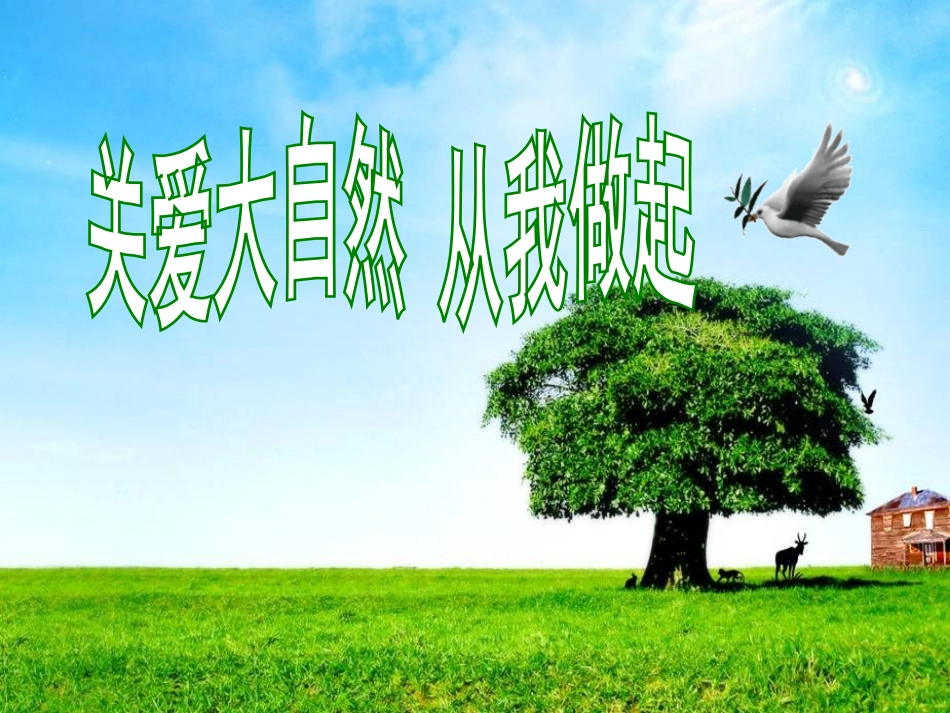 《关爱大自然从我做起》课件_第2页