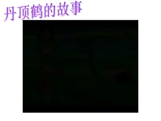 《关爱大自然从我做起》课件