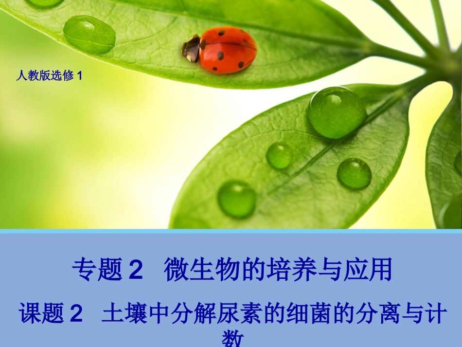 【生物】22土壤中分解尿素的细菌的分离与计数课件（人教版选修1）_第1页
