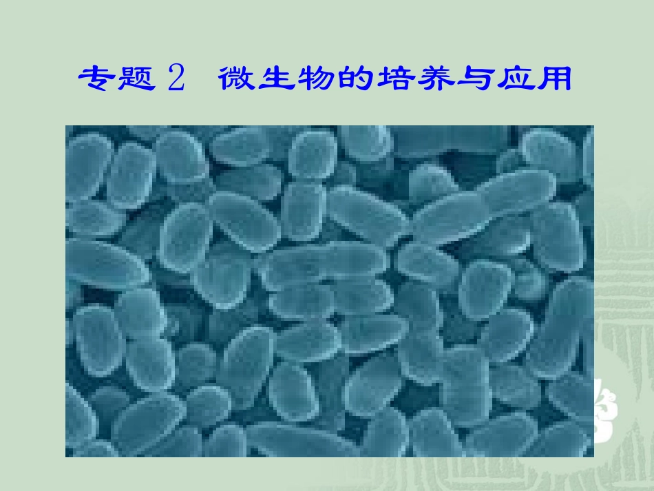 【生物】22土壤中分解尿素的细菌的分离与计数课件（人教版选修1）_第2页