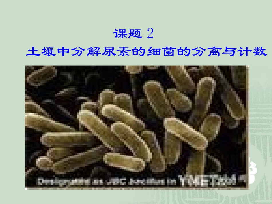 【生物】22土壤中分解尿素的细菌的分离与计数课件（人教版选修1）_第3页
