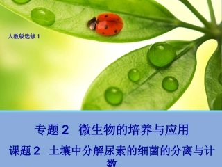 【生物】22土壤中分解尿素的细菌的分离与计数课件（人教版选修1）