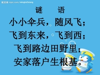 三年级语文上册第三组1蒲公英第二课时课件