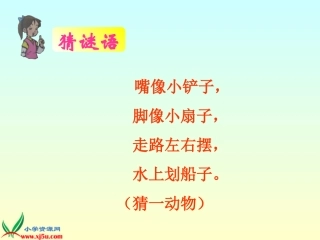 人教版二年级上册《丑小鸭》PPT课件