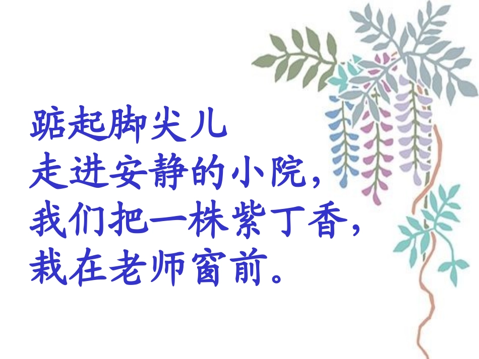 杨亚亚一株紫丁香_第3页