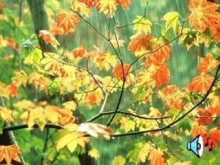 《秋天的雨》课件赵晓娜