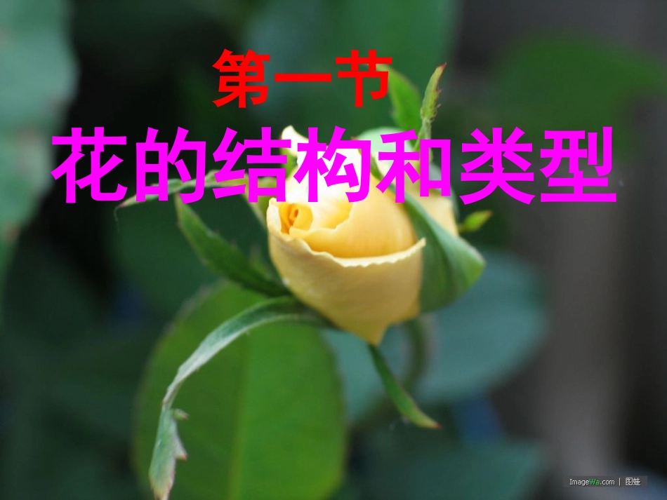 我：八上《花的结构和类型》_第1页