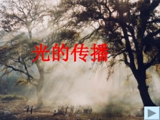 第1节　光的传播