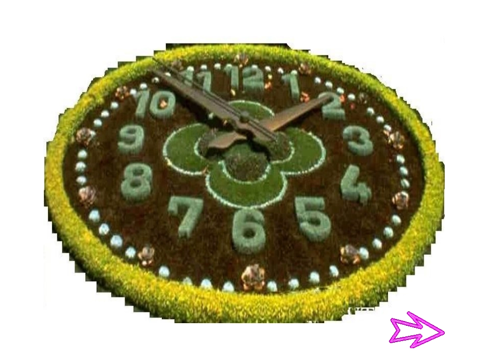 人教版新课标语文三年级上册《花钟》课件 (2)_第2页