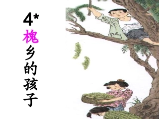 《槐乡的孩子》教学课件