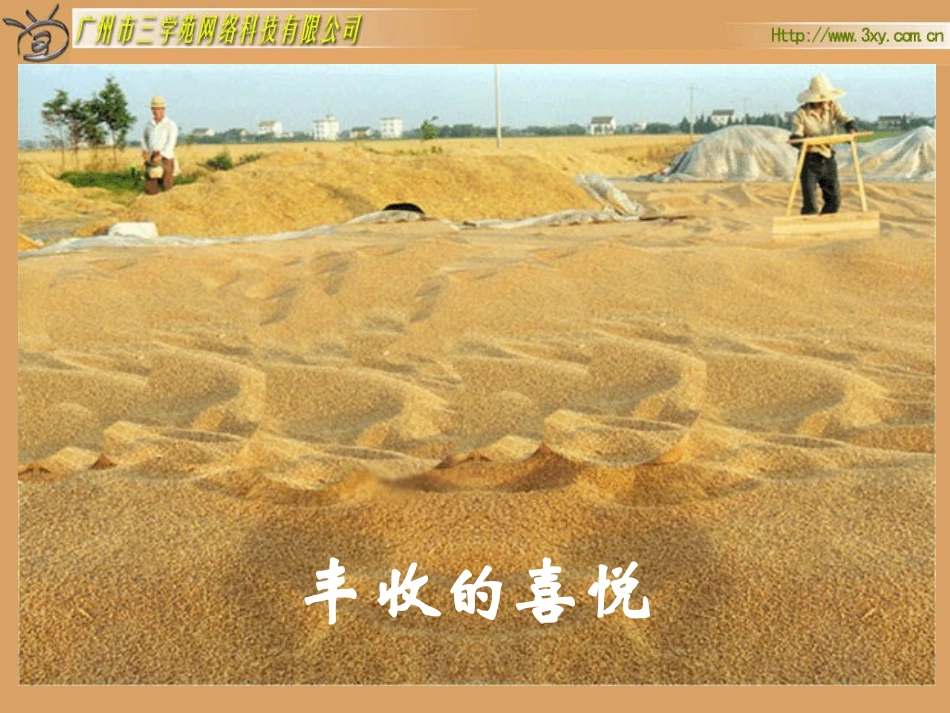 人教版新课标数学六年级下册《圆锥的体积》课件_第3页