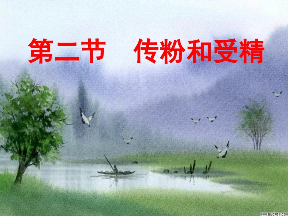 我：《传粉与受精》八上_第1页