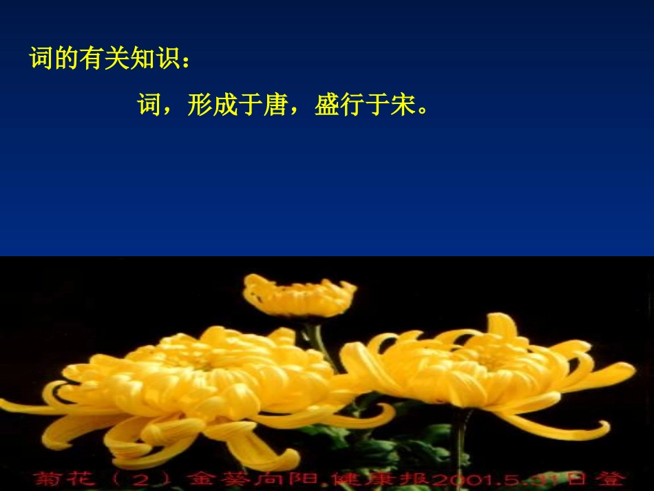 《沁园春·长沙》课件【4】_第2页