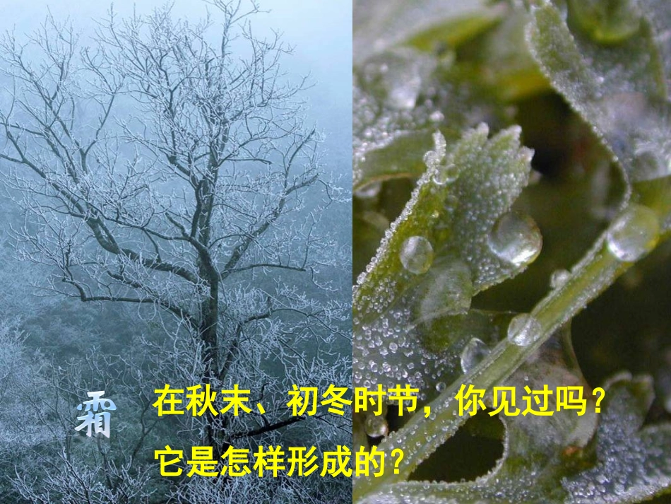 升华和凝华(1)_第2页