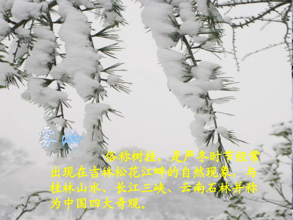 升华和凝华(1)_第3页