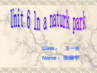 学生制作的复习课件--张晓宇