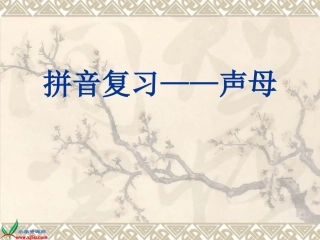课件-1上-《拼音复习-声母》