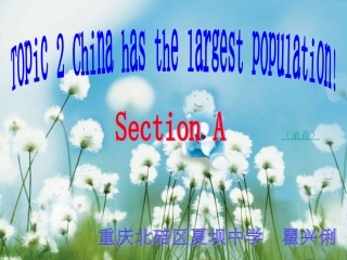仁爱英语九年级unit1topic2sectionA课件