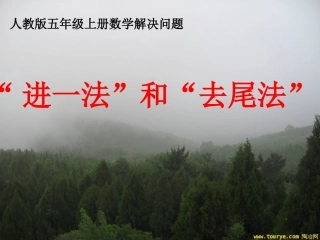 进一法和去尾法PPT