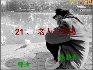 《老人与海鸥》课件1