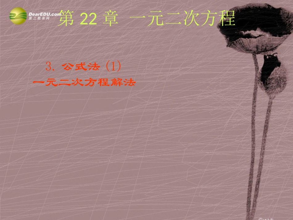 公式法解：一元二次方程课件新人教版_第1页