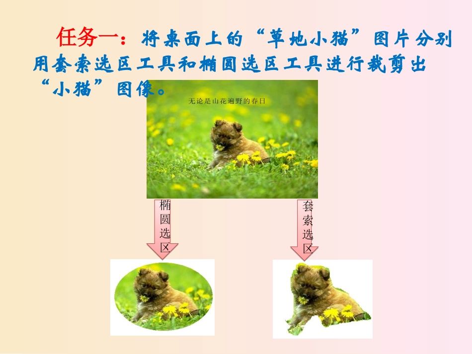 图像的裁剪和缩放_第3页