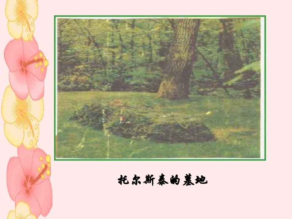 世间最美的坟墓 (3)_第2页