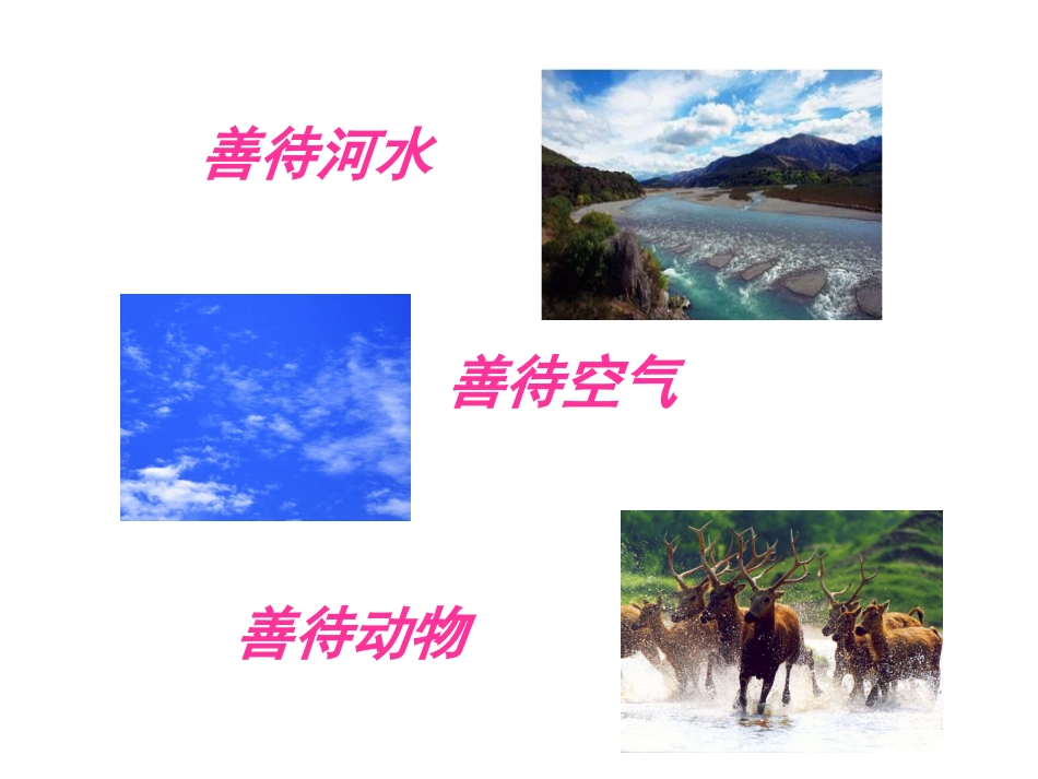 六年级语文上册第四组15这片土地是神圣的第二课时课件_第2页