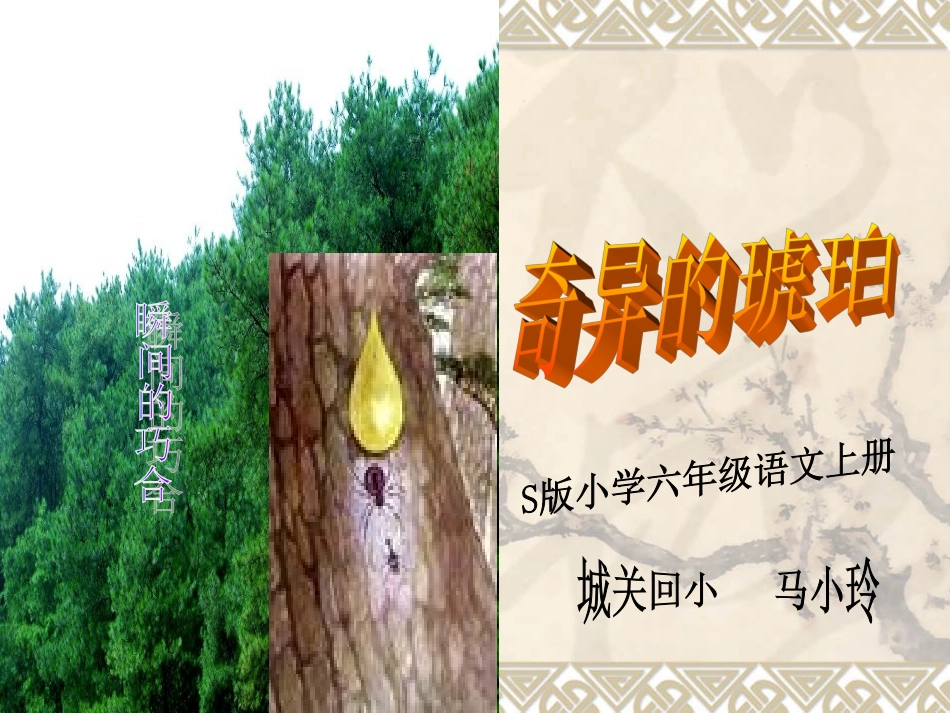 奇异的琥珀（马小玲）_第1页