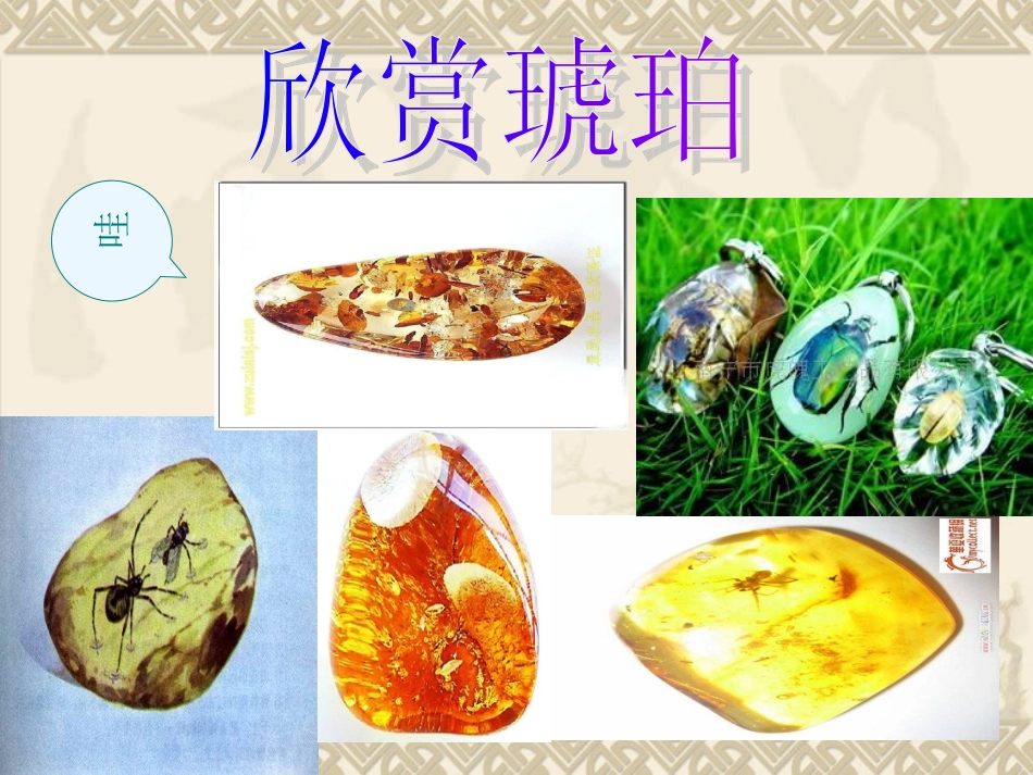 奇异的琥珀（马小玲）_第2页