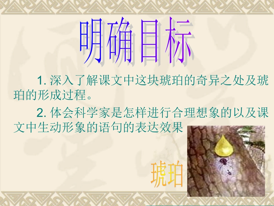 奇异的琥珀（马小玲）_第3页