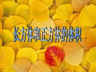 长方体和正方体的体积