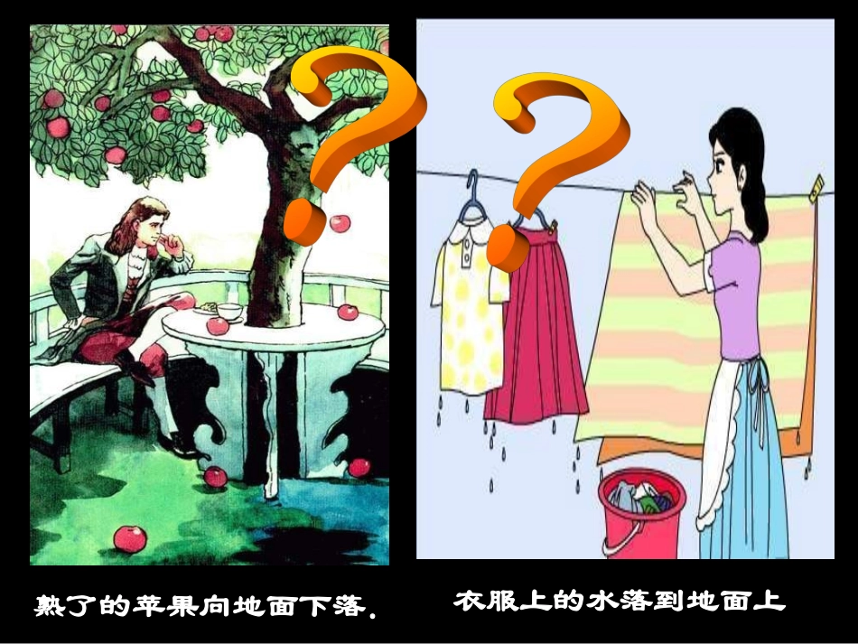 初中物理重力课件_第3页