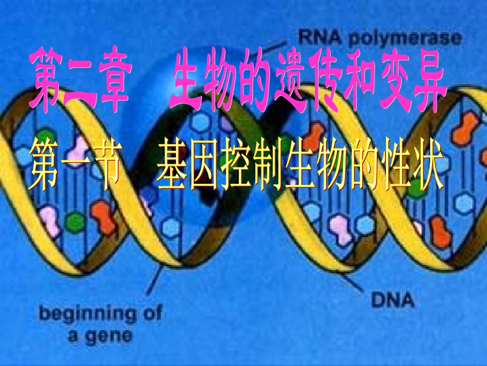 人教新课标版初中八下2[1]1下基因控制生物的性状课件1_第1页