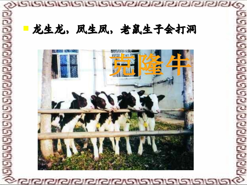 人教新课标版初中八下2[1]1下基因控制生物的性状课件1_第3页